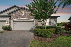19345 HAWK VALLEY DRIVE, TAMPA, FL 33647 Sold 11/15/24