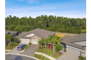 19345 HAWK VALLEY DRIVE, TAMPA, FL 33647 Sold 11/15/24