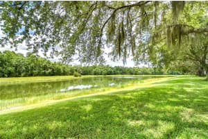 19153 WHITE WING PLACE, TAMPA, FL 33647 Sold 08/02/24