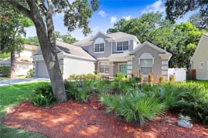 6011 WILLIAMSBURG WAY, TAMPA, FL 33625 Sold 07/19/24