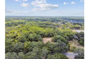 10413 MAIN STREET, THONOTOSASSA, FL 33592 - MLS#MFRT3532576