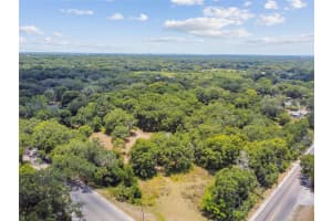 10413 MAIN STREET, THONOTOSASSA, FL 33592 - MLS#MFRT3532576