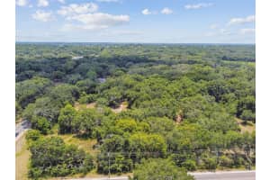 10413 MAIN STREET, THONOTOSASSA, FL 33592 - MLS#MFRT3532576