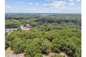 10413 MAIN STREET, THONOTOSASSA, FL 33592 - MLS#MFRT3532576