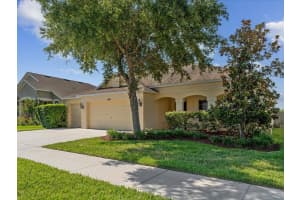 18528 NEW LONDON AVENUE, LAND O LAKES, FL 34638 Sold 07/18/24