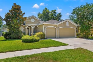 3004 MAPLE SHADE PLACE, SEFFNER, FL 33584 Sold 07/10/24