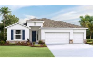 5968 WANDERING WILLIOW DRIVE, WESLEY CHAPEL, FL 33545 Sold 11/06/24