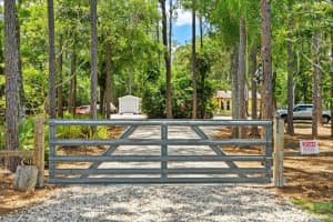 19502 PINE TREE ROAD, ODESSA, FL 33556 Sold 12/09/24