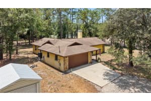19502 PINE TREE ROAD, ODESSA, FL 33556 Sold 12/09/24