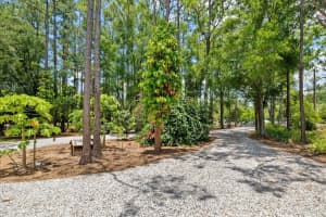 19502 PINE TREE ROAD, ODESSA, FL 33556 Sold 12/09/24
