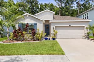 32959 SAND CREEK DRIVE, WESLEY CHAPEL, FL 33543 Sold 09/16/24