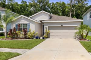 32959 SAND CREEK DRIVE, WESLEY CHAPEL, FL 33543 Sold 09/16/24