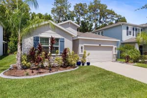32959 SAND CREEK DRIVE, WESLEY CHAPEL, FL 33543 Sold 09/16/24
