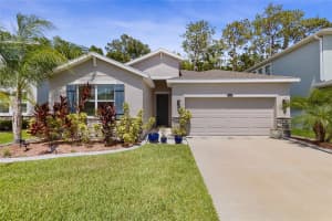 32959 SAND CREEK DRIVE, WESLEY CHAPEL, FL 33543 Sold 09/16/24