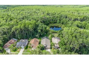 872 CRESTRIDGE CIRCLE, TARPON SPRINGS, FL 34688 Sold 08/27/24