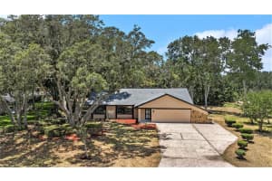 167 OAK LAKE DRIVE, SPRING HILL, FL 34608 Sold 11/13/24