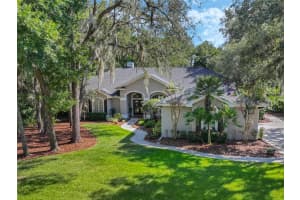 5849 AUDUBON MANOR BOULEVARD, LITHIA, FL 33547 Sold 07/23/24