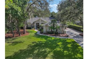 5849 AUDUBON MANOR BOULEVARD, LITHIA, FL 33547 Sold 07/23/24