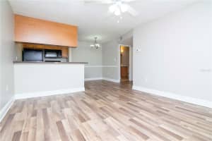 203 LAKE PARSONS GREEN, BRANDON, FL 33511 Sold 07/26/24