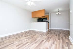 203 LAKE PARSONS GREEN, BRANDON, FL 33511 Sold 07/26/24