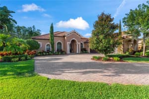 17303 SAN ARINGO PLACE, LUTZ, FL 33548 Sold 08/30/24