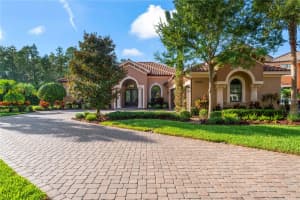 17303 SAN ARINGO PLACE, LUTZ, FL 33548 Sold 08/30/24