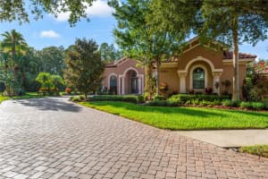 17303 SAN ARINGO PLACE, LUTZ, FL 33548 Sold 08/30/24