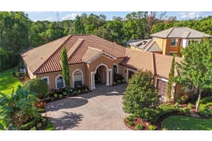 17303 SAN ARINGO PLACE, LUTZ, FL 33548 Sold 08/30/24