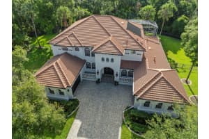 15517 AVOCETVIEW COURT, LITHIA, FL 33547 Sold 04/30/25