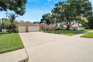 3949 APPLETREE DRIVE, VALRICO, FL 33594 Sold 07/29/24