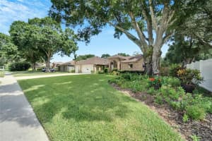 3949 APPLETREE DRIVE, VALRICO, FL 33594 Sold 07/29/24