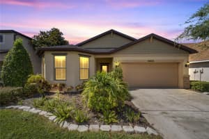 30838 PUMPKIN RIDGE DRIVE, WESLEY CHAPEL, FL 33543 Sold 10/02/24