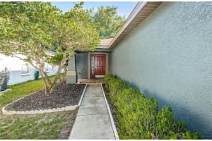11540 HAMMOCKS GLADE DRIVE, RIVERVIEW, FL 33569 Sold 08/29/24