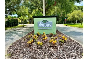 7139 WOODIBIS DRIVE, NEW PORT RICHEY, FL 34654 Sold 07/17/24