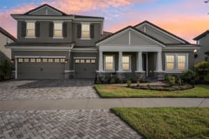 14292 Swiss Bridge Dr, RIVERVIEW