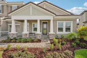 14292 SWISS BRIDGE DRIVE, RIVERVIEW, FL 33579 - MLS#MFRT3533608