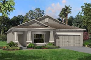 31793 SAPNA CHIME DRIVE, WESLEY CHAPEL, FL 33545 Sold 11/27/24