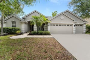 19239 AUTUMN WOODS AVENUE, TAMPA, FL 33647 Sold 10/25/24