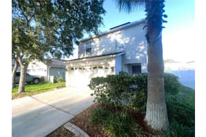 3316 Thistledown Ln, LAND O LAKES