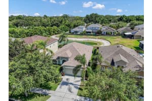 11427 DUTCH IRIS DRIVE, RIVERVIEW, FL 33578 Sold 07/22/24