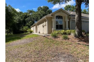 30803 PROUT COURT, WESLEY CHAPEL, FL 33543 Sold 10/11/24