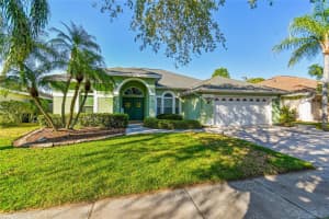 9911 WOODBAY DRIVE, TAMPA, FL 33626 Sold 10/23/24