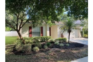 31044 MANDOLIN CAY AVENUE, WESLEY CHAPEL, FL 33543 Sold 08/16/24