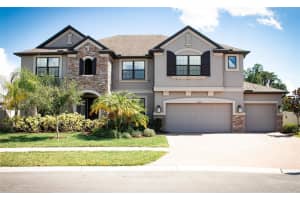 10705 FOXTAIL PASTURE WAY, TAMPA, FL 33647 Sold 03/17/25