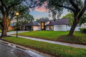 15830 DAWSON RIDGE DRIVE, TAMPA, FL 33647 Sold 11/18/24