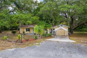 16637 LIVINGSTON AVENUE, LUTZ, FL 33559 Sold 07/03/25