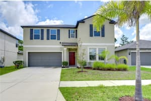 13407 WILLOW BLUESTAR LOOP, RIVERVIEW, FL 33579 Sold 09/11/24