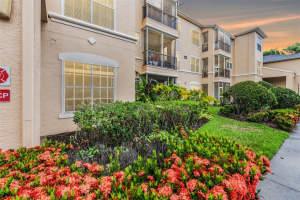 5125 PALM SPRINGS BOULEVARD, TAMPA, FL 33647 Sold 10/22/24