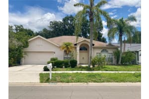 9603 FOX HEARST ROAD, TAMPA, FL 33647 Sold 08/15/24