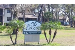 1000 TARPON WOODS BOULEVARD, PALM HARBOR, FL 34685 - MLS#MFRT3534644